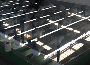 6mm must akrüülleht