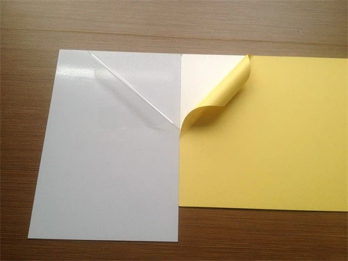 Black White PVC Self-Adhesive PVC Album Sheet